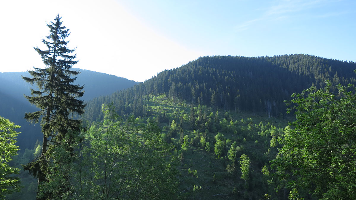Stara planina obiluje gustim šumama, vodopadima i planinskim vrhovima od kojih su mnogi skoro 2000 mnv, foto: Uroš Nedeljković
