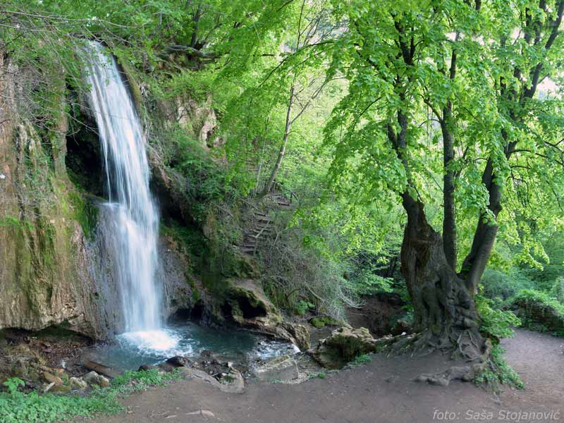 Vodopad Ripaljka, Ozren