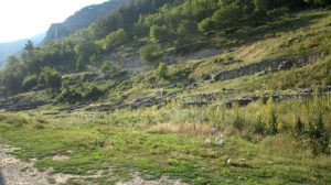 Trgovište, Stari Ras