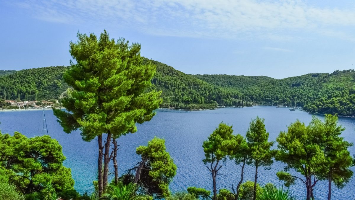 Bili smo iznenađeni zelenilom Skopelosa, a zelenilo se verovatno iznenadilo kada je videlo nas