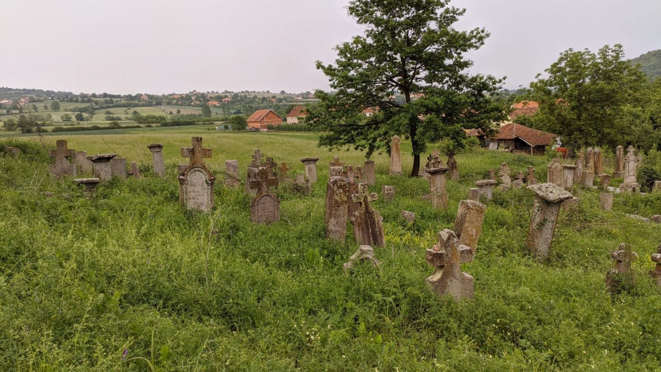 Iako je staro groblje u Borču zaštićeno kao nepokretno kulturno dobro, o njemu se ne vodi previše računa i kroz njega se sa teškom mukom može proći, foto: Uroš Nedeljković