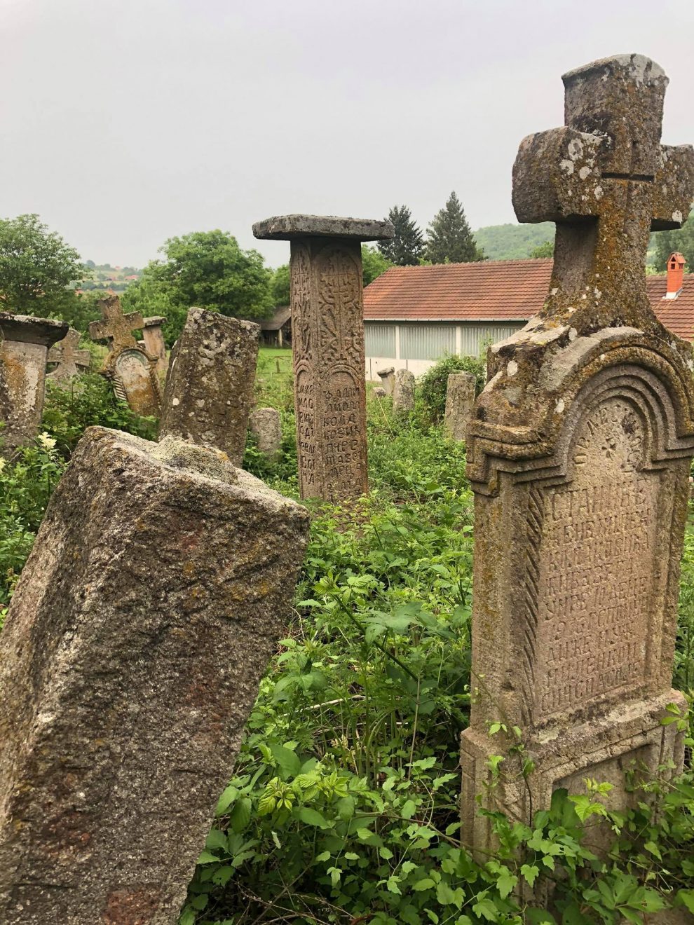 Ovo drevno groblje u selu Borač čini jedinstvenu celinu jer na njemu nema novijih spomenika od mermera koji se nalaze na novom groblju kojih stotinu metara dalje. Foto: Katarina Glomazić