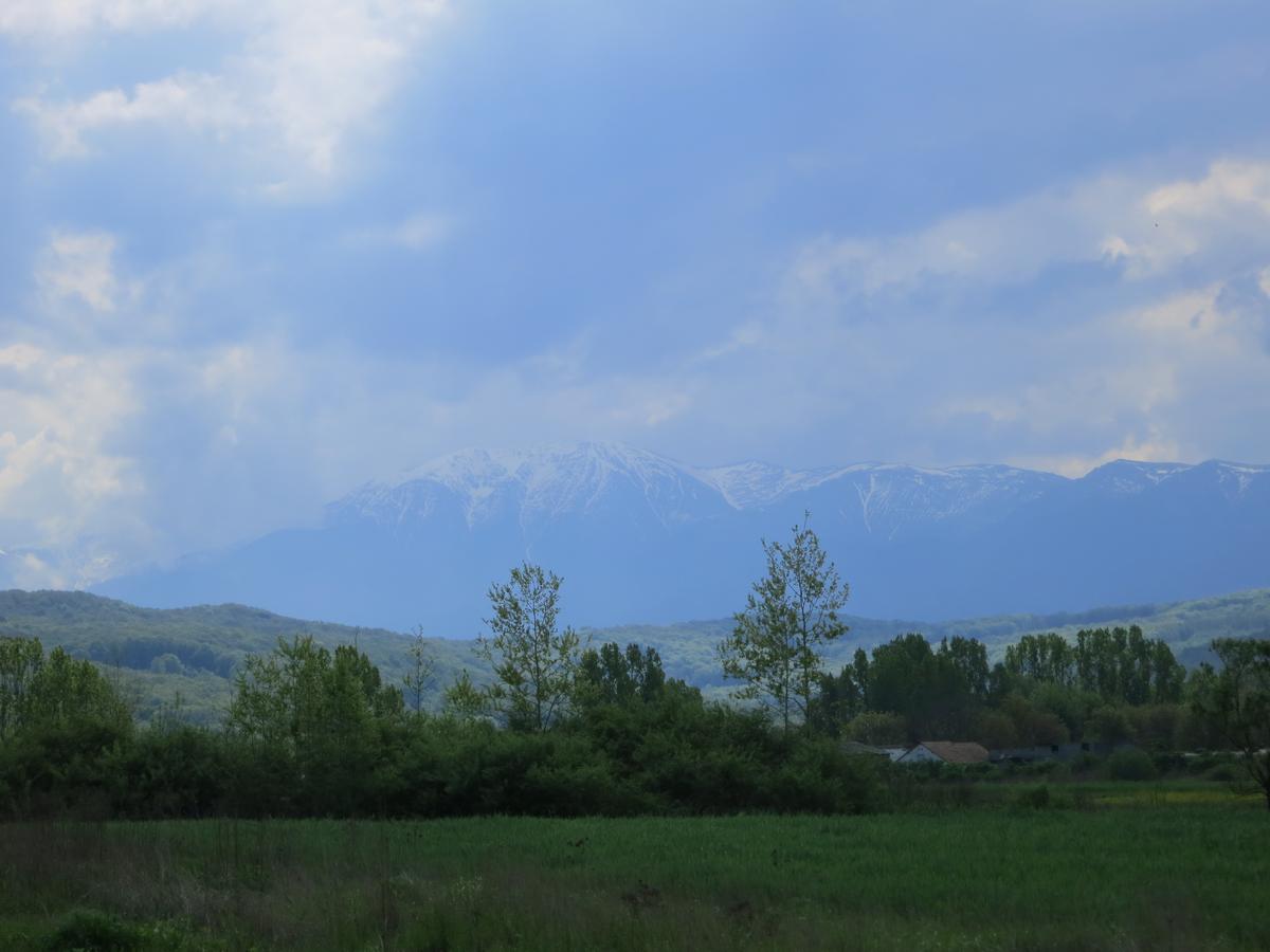 Dok vozite ravnicom iz pravca Srbije sa vaše desne strane se polako uzdižu Karpati i Fagaraške planine koje su najviše planine južnih Karpata. Najviši vrh je Moldoveanu sa 2544 metara nadmorske visine. Foto: Uroš Nedeljković