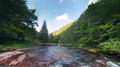 Stara planina, Arbinje, Dojkinci