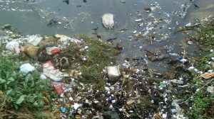 Otpad u reci, foto: Adityamadhav83 / Wikimedia