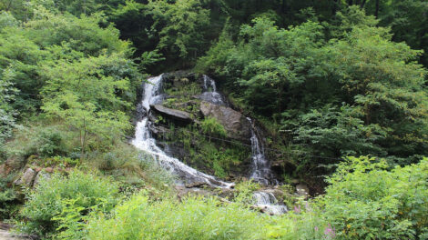 Reka Vučjanka, foto: Geograf208 / Wikimedia CC 4.0